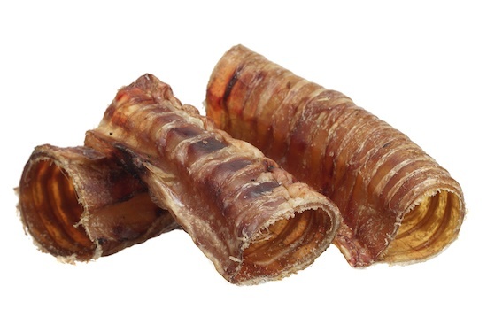 Трахея оленя 