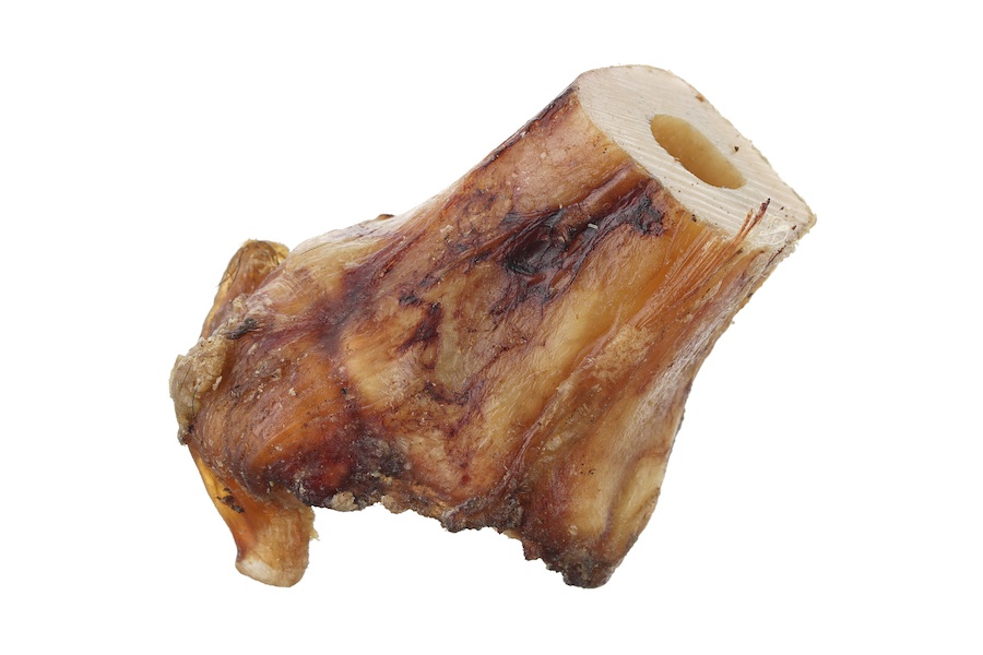 Колено лося