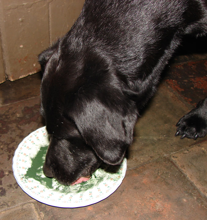 Спирулина 18 аминоксилот Spirulina 90 гр. Швеция