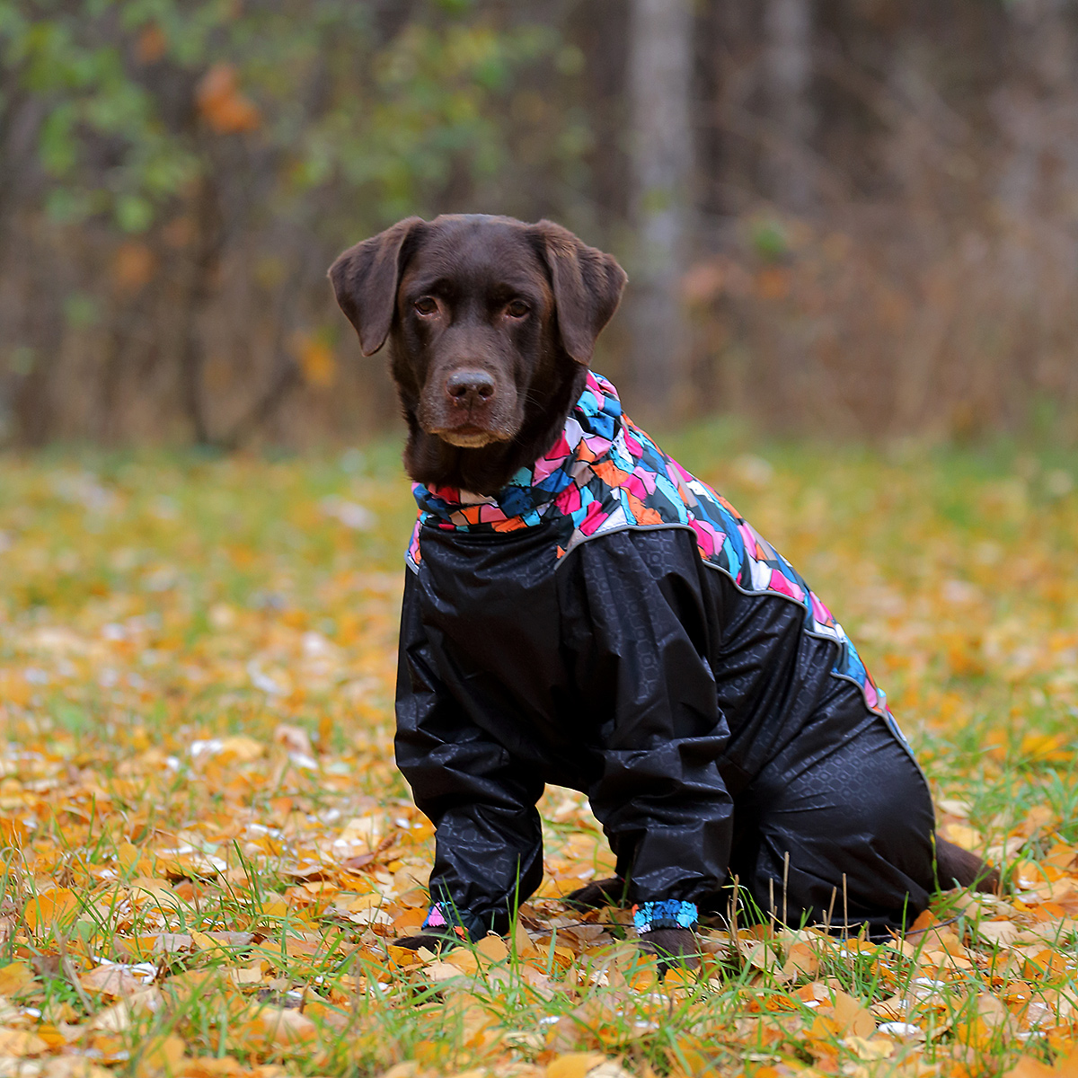 Скидки на все товары марки Osso Fashion!