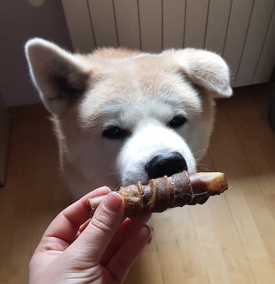 Косточка оленя в коже оленя