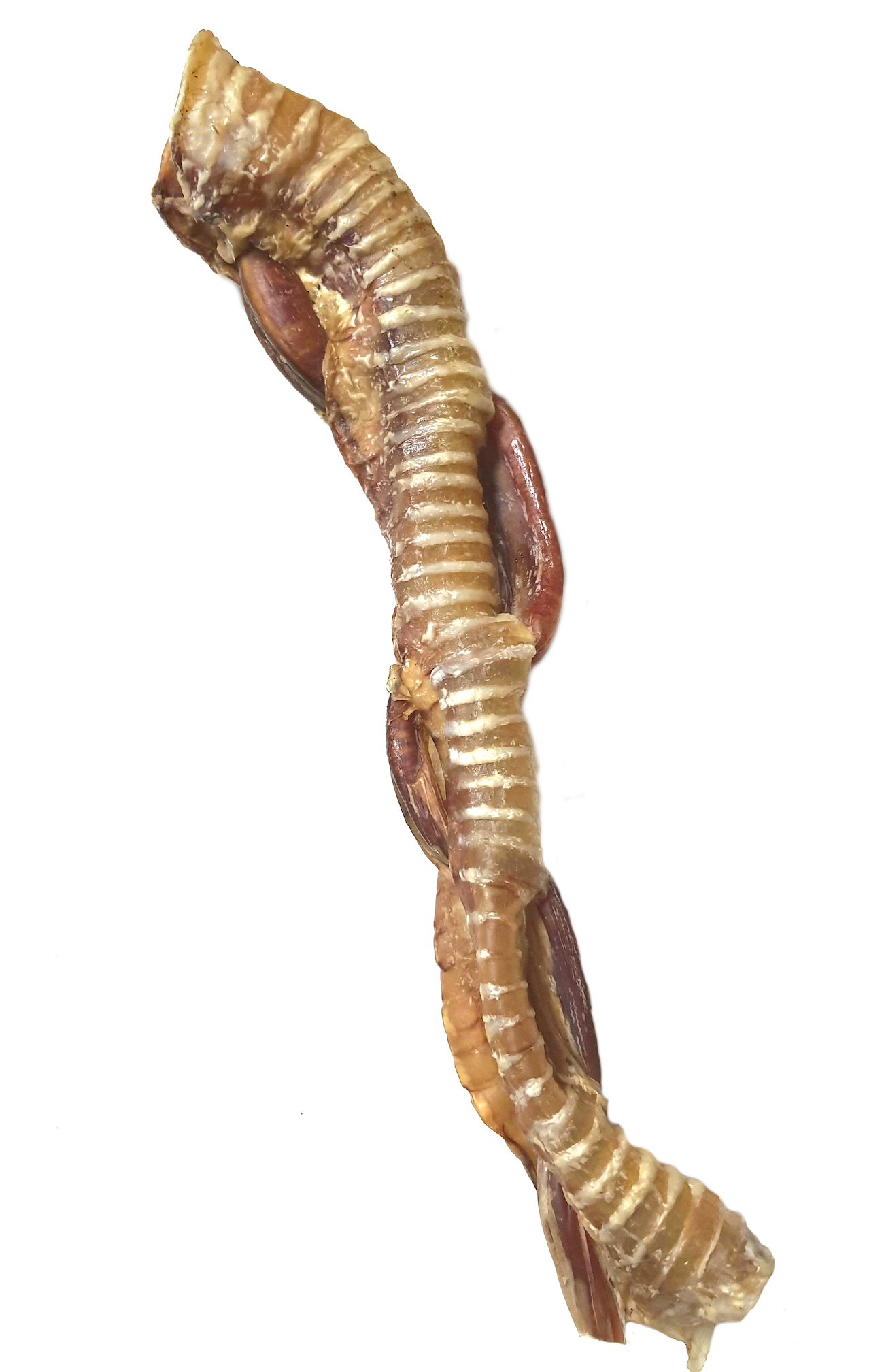 Большой крокет (трахея и корень)