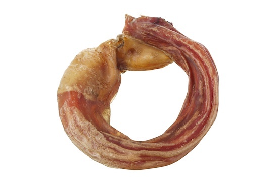Бычий корень Бублик
