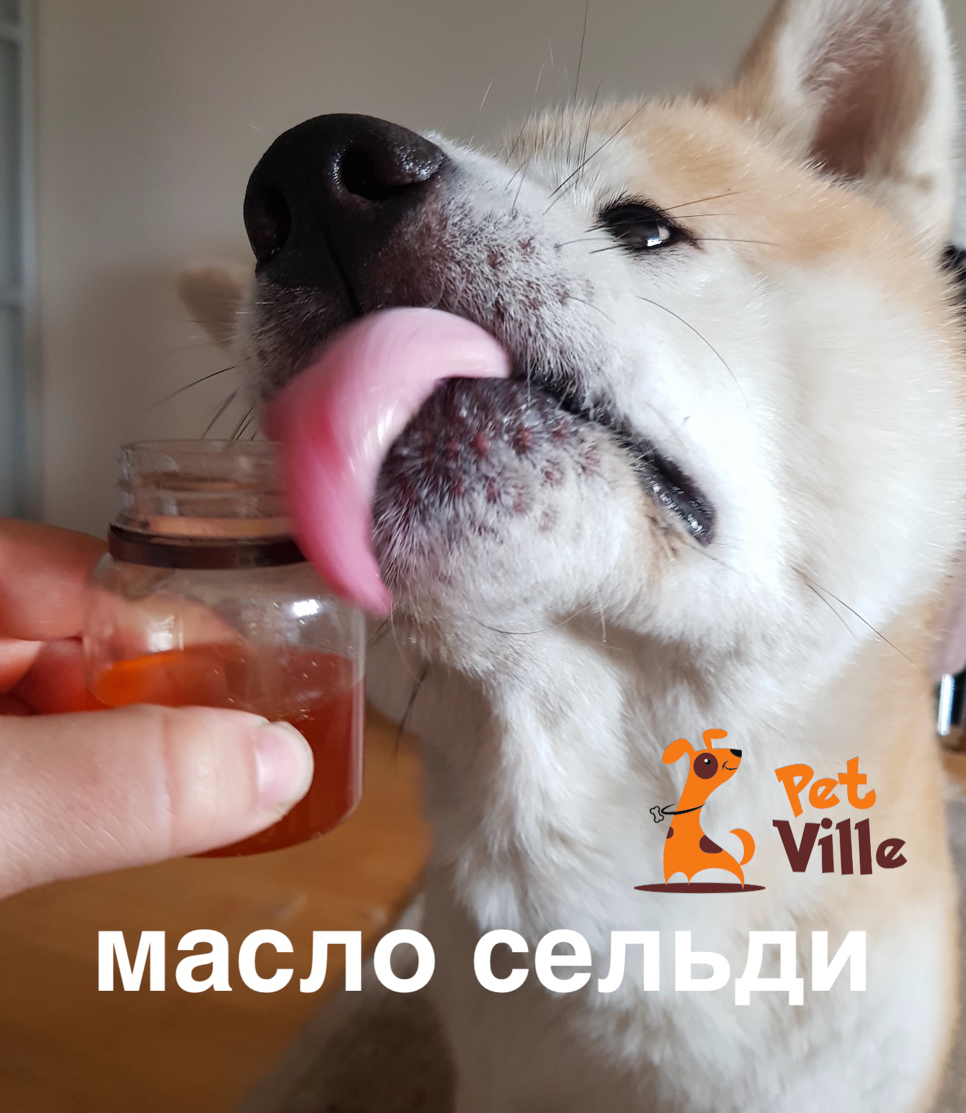 Масло сельди (тихоокеанской)