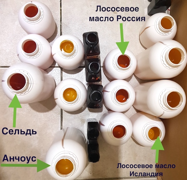 Гид по маслам для собак!