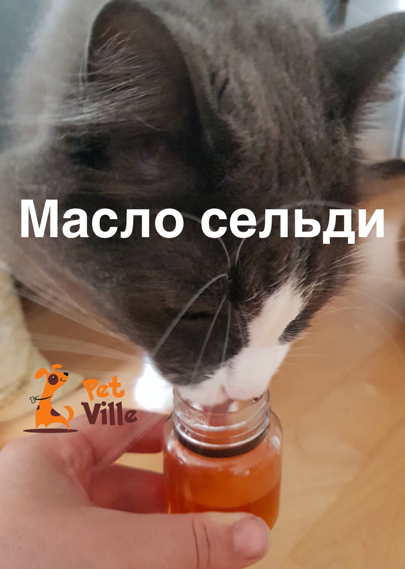 Масло сельди (тихоокеанской)