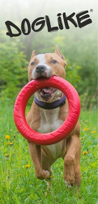 Поставка игрушек Gigwi и Doglike!