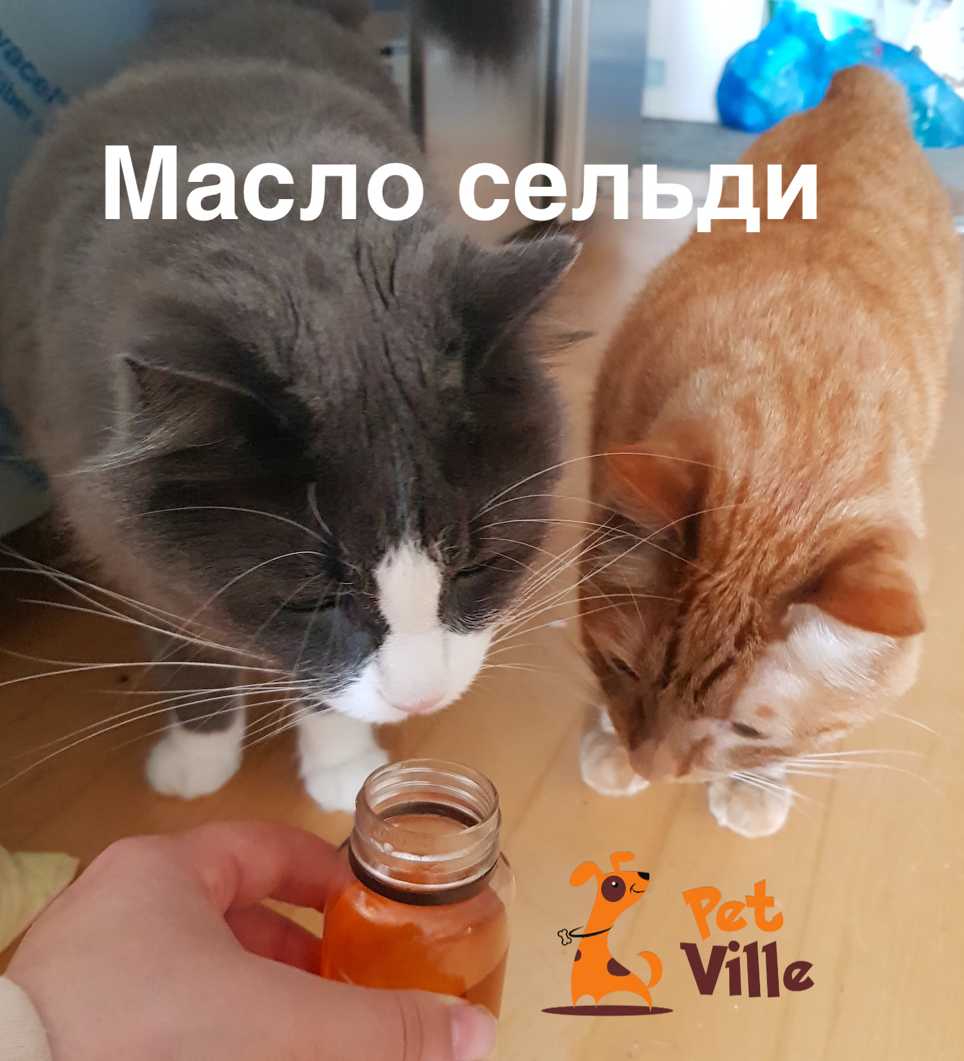 Масло сельди (тихоокеанской)