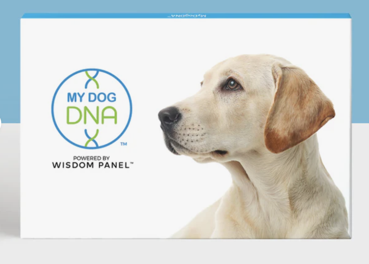 МДД пакет тестов