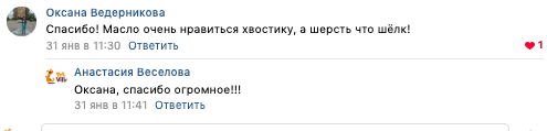 Снимок экрана 2020-02-15 в 9.47.21.png