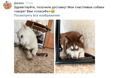 mSuaL9rsK_Q.jpg