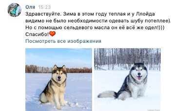 Снимок экрана 2020-01-05 в 17.48.06.png