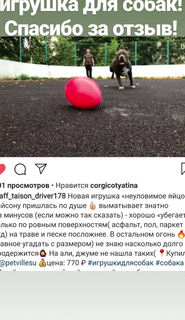 SmartSelect_20191106-225632_Instagram.jpg