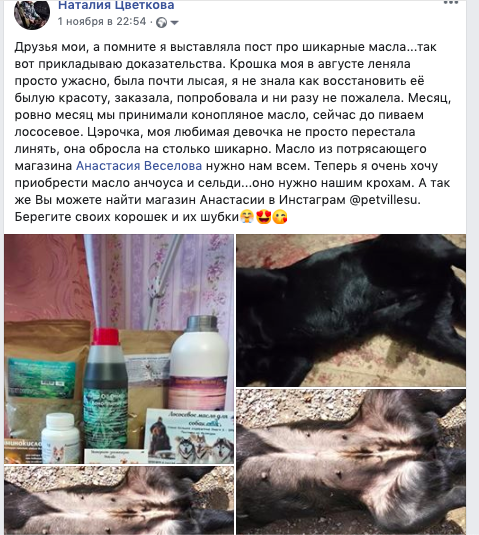 Снимок экрана 2019-11-06 в 23.07.58.png