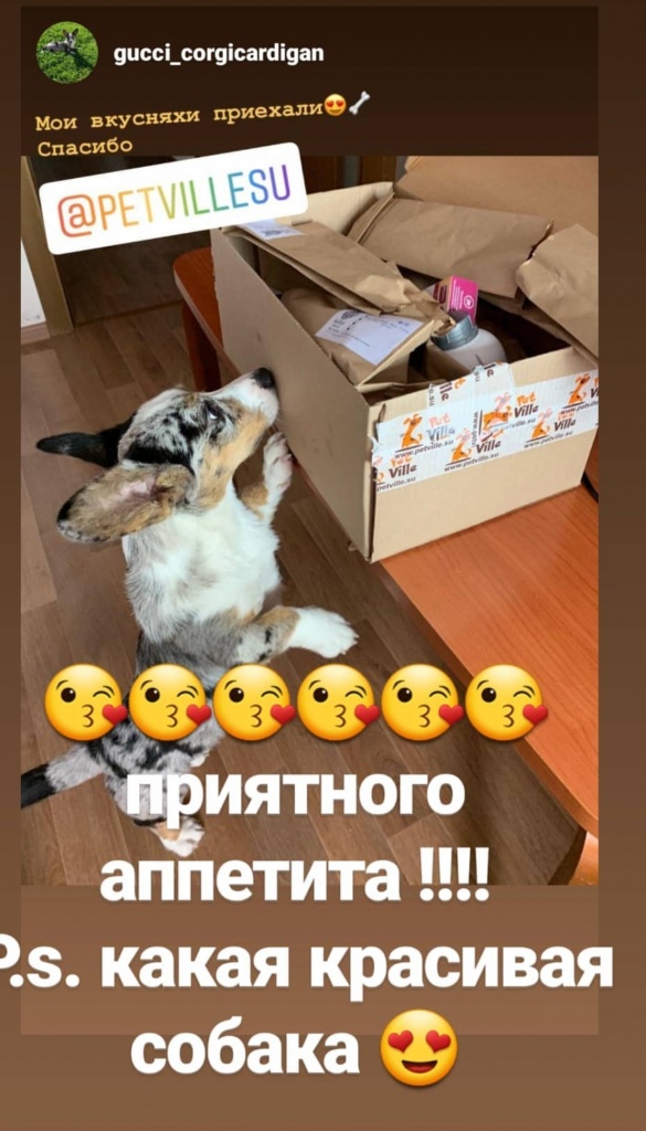 SmartSelect_20191106-225639_Instagram.jpg