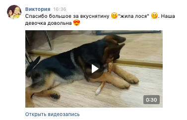Снимок экрана 2020-02-15 в 9.51.25.png